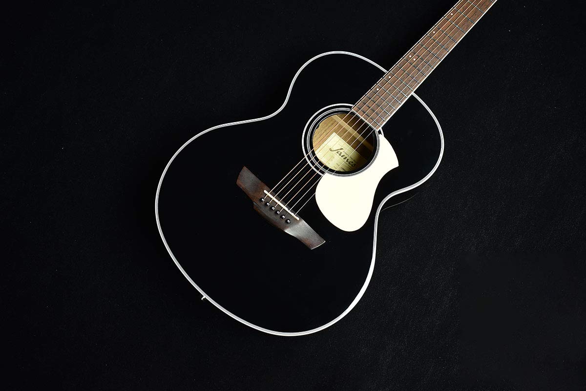 James J-450D/Ova BLK ジェームスエレアコギター Amazon | James J-450A/Ova Black アコースティックギター